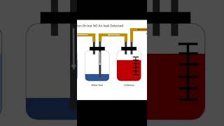 How to Manage Pneumothoraces [upl. by Petunia819]