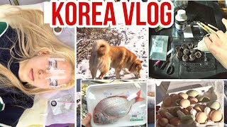 Реснички Сони и мои дачные дела  KOREA VLOG [upl. by Frechette348]