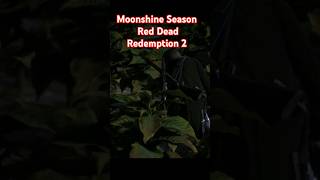 Moonshine Season  RDR2 setup shortsfeed reddeadredemtion2 mission sub [upl. by Etem249]