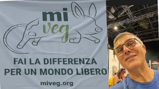 MIVEG Esperienza milanese [upl. by Katzir]