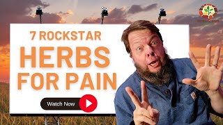 Top 7 Herbs Clinical Naturopath and Herbalist Uses For Pain [upl. by Stoffel160]