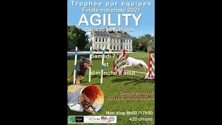 Grand Prix de France Agility 2024  Finale Standard SM [upl. by Kant]