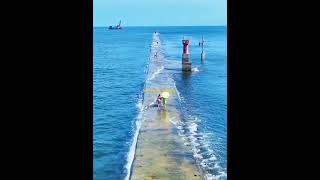 Samandar me kinara tu Bollywood songs Hindi songs Samandar mein kinara bollywood youtubeshorts [upl. by Warenne439]