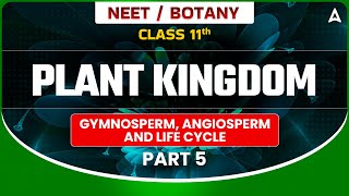 𝐏𝐋𝐀𝐍𝐓 𝐊𝐈𝐍𝐆𝐃𝐎𝐌 𝐂𝐋𝐀𝐒𝐒 𝟏𝟏  BOTANY GYMNOSPERM ANGIOSPERM AND LIFE CYCLE  NEET SANJEEVANI BATCH [upl. by Hullda117]