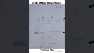 MSc Botany Practical File 1st sem  Biodiversity of Algae and Fungi  HPU botanynotes [upl. by Ettenowtna]