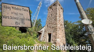 Satteleisteig bei Baiersbronn im Nordschwarzwald [upl. by Braun64]