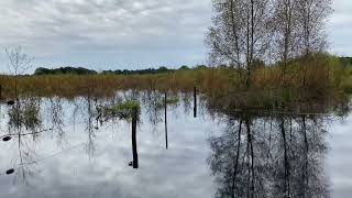 Natuurpark Maashorst Uden [upl. by Atims]