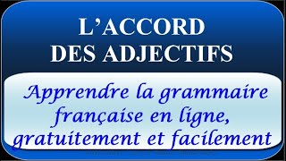 L’ACCORD DES ADJECTIFS  Apprendre la grammaire française en ligne gratuitement et facilement [upl. by Edison]