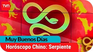 Horóscopo Chino Serpiente  Muy buenos días  Buenos días a todos [upl. by Ada475]