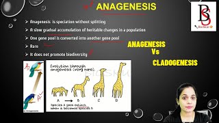 What is Anagenesis amp Cladogenesis [upl. by Leuas]