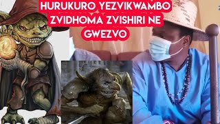 Hurukuro yezvikwambo zvidhoma zvishiri ne gwezvo [upl. by Severn]