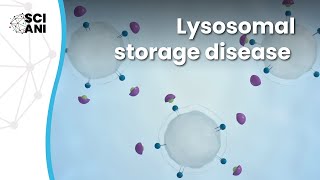 What are Lysosomal Storage Diseases [upl. by Ariella203]