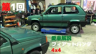 【愛車診断】納車されたばかりのパンダを忖度なしでチェックしてみた【フィアットパンダ】【FIAT PANDA】【4x4】 [upl. by Blithe829]