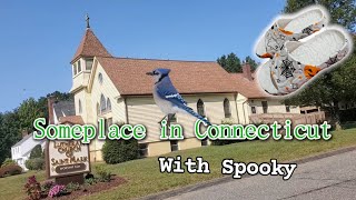 Someplace in Connecticut with spooky [upl. by Asina]