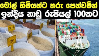 ඉන්දියානු නාඩු සහල් රුපියල් 100කට වරායට මහා පරිමාණ මෝල් හිමියන්ට තරු පෙනෙයි srilanka rice price [upl. by Akirea57]