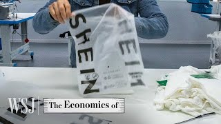 How Shein Built a 66B FastFashion Empire  WSJ The Economics Of [upl. by Roselba408]