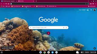 How to Unblock WebSites on School Chromebook 20232024 [upl. by Nirrak]