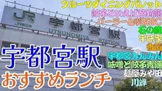 【宇都宮おすすめランチ】餃子といえば芭莉龍、フルーツダイニングパレット、宇味家、味噌と餃子 青源、パーラーamp喫茶 BC、香蘭 宇都宮駅西口店、麺屋みや田、川蝉、石の蔵、宇都宮みんみん [upl. by Hertberg]