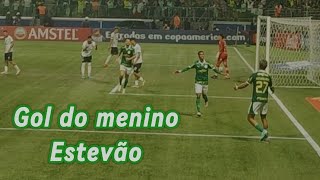 Gol do menino de ouro Estevão  direto da arquibancada  Palmeiras 3 x 1 Liverpool [upl. by Merwyn747]