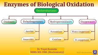 1 Enzymes of Biological Oxidation  Biological oxidation  Biochemistry  NJOY Biochemistry [upl. by Hallsy]