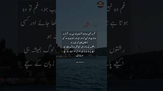 True Lines 🔥 Urdu Status Video  Urdu Inspiration  urduquotes urdupoetry umdaalfaz [upl. by Aniehs]