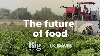 Sustainable Agriculture  UC Davis Big Ideas Smart Farm [upl. by Trstram]