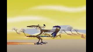 Cartoon Network  ACME Hour Wile E Coyote finally quotcatchesquot Road Runner releasecoyotevsacme [upl. by Anauqat]