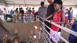 2017 Arapahoe County Fair [upl. by Alamac]