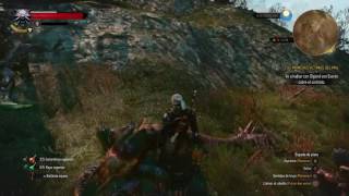 Donde conseguir veneno de Arachas en Witcher 3 [upl. by Laise]