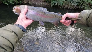 Central North Island NZ Winter Fishing [upl. by Arihay468]