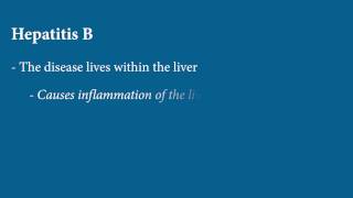 Liver Disease  Hepatitis B [upl. by Teteak]