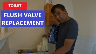 Flush Valve Replacement [upl. by Zorah]