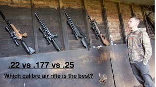 Airgun Caliber Comparison 177 22 amp 25 [upl. by Nimoynib155]