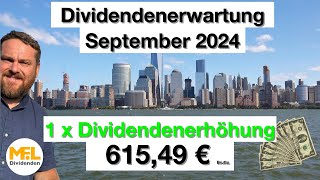 61549 € Bruttodividenden erwarte ich im September für mein Aktiendepot quotNo risk no funquot [upl. by Gish]