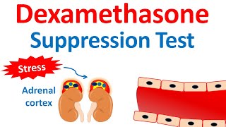 Dexamethasone Nursing Considerations Side Effects and Mechanism of Action Pharmacology for Nurses [upl. by Ydal17]