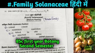 Family Solanaceae in hindi  BSc Second year Botany 3rd Semester [upl. by Billie]