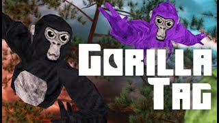 Gorilla tag banned livestream 5 Playing with Viewers and more games [upl. by Islaen]