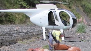 Helicopter hunting in New Zealand [upl. by Rodi]