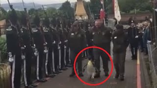 Penguin Joins the Royal Norwegian Guard [upl. by Lorine579]