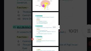 Human brain  control and coordination notes Class 10 th science shorts science notes pdf science [upl. by Khalil]