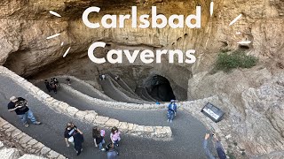 Carlsbad Caverns National Park A walk through the caverns from the Natural Entrance [upl. by Shipp128]