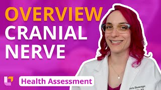 Cranial Nerve Overview  Health Assessment for Nursing Students  LevelUpRN [upl. by Aramoix685]