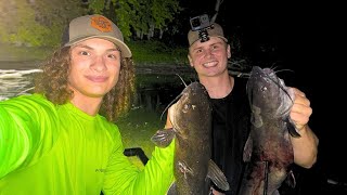 Exploring and Bowfishing for CARP and CATFISH  CATCH and COOK [upl. by Alyt942]