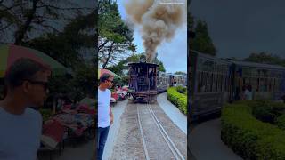 Darjeeling Toy Train  Batasiya Loop relax train toytrain darjeeling nature smoke viralvideo [upl. by Niryt]