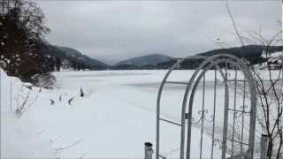 Lake Titisee Travel A trip to Black Forest Germany in the Winter [upl. by Yelich]