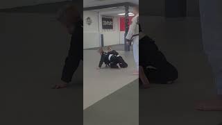 Little Chimps Jiujitsu Rolling [upl. by Kuebbing]