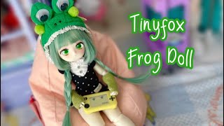 ADORABLE FROG GIRL DOLL Tinyfox BJD Review [upl. by Retsila]