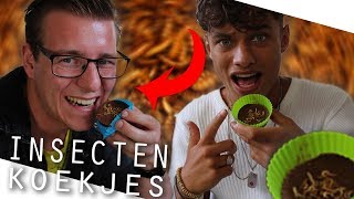 Chocolade BUFFALOWORMEN of MEELWORMEN koekjes maken  Koken met Davey Raaijmakers [upl. by Rimat]