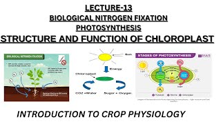 Lecture 13 Biological Nitrogen Fixation amp Photosynthesis BSC HORTICULTURE CLASS 12 ICAR [upl. by Longerich]