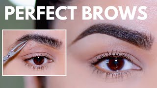 HOW TO GROOM SHAPE amp MAINTAIN EYEBROWS AT HOME BEGINNER FRIENDLY [upl. by Suicul]